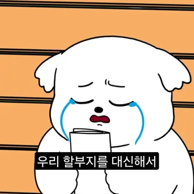 Profile image of 말티즈