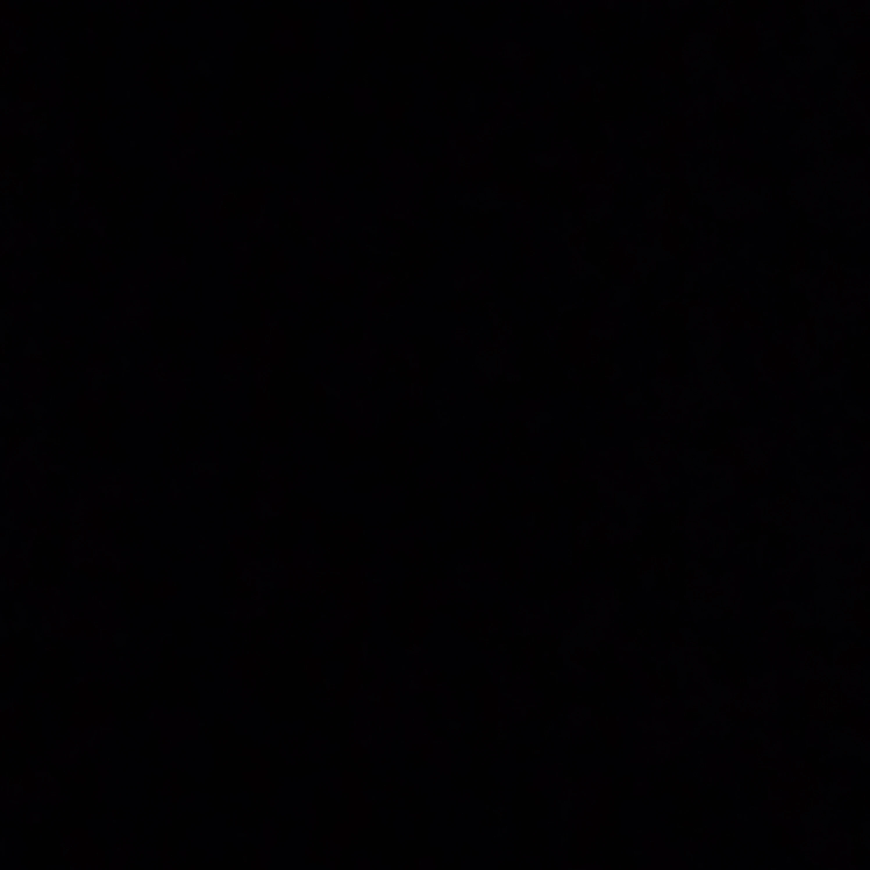 조우안신