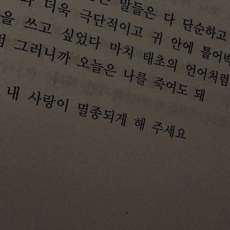 토키토 무이치로 대표 이미지