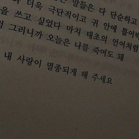 토키토 무이치로