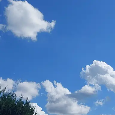 Profile image of 제미니