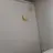 다공일수