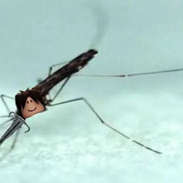 Profile image of 투타임
