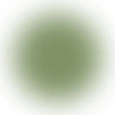 Profile image of 慎太郎