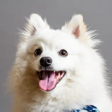 Profile image of 시윤