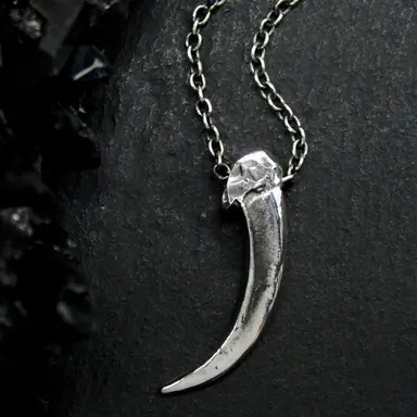 Profile image of 늑대
