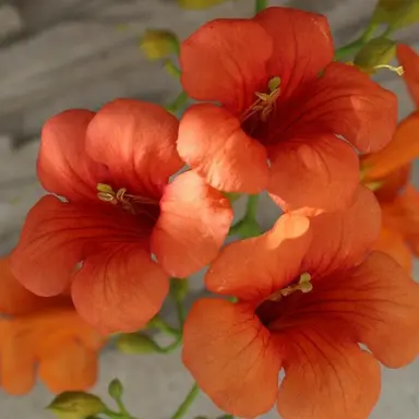 Profile image of 박덕개