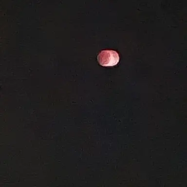 Profile image of WBC