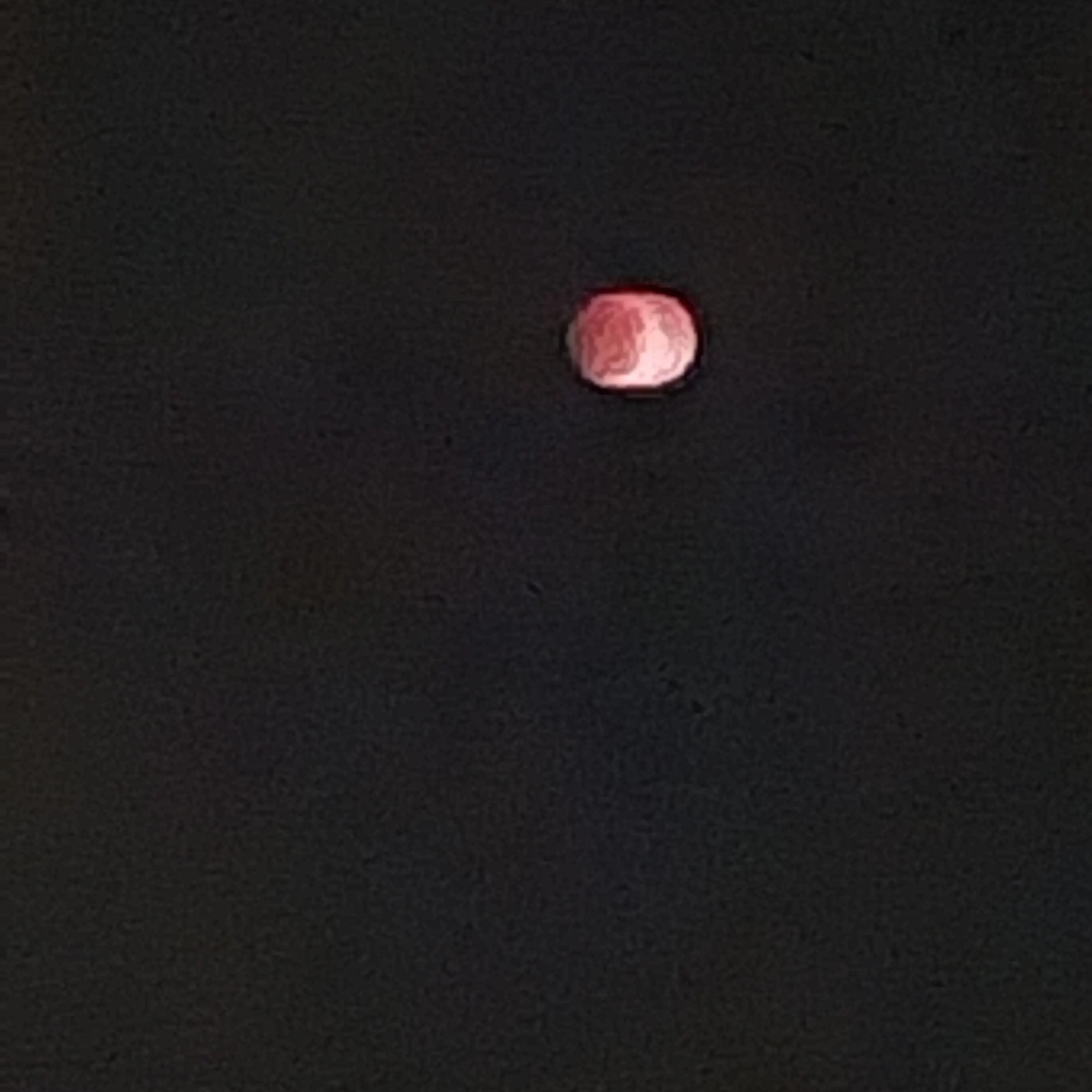 HandyWorm0876의 2026 대한민국 WBC RPG