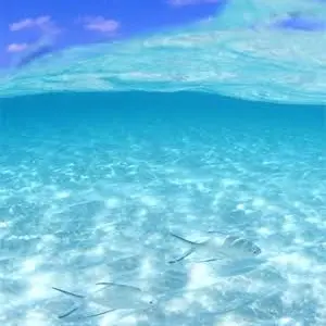 Profile image of 担任の先生