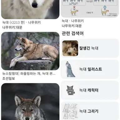 Profile image of 늑대