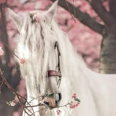 Profile image of ルナ