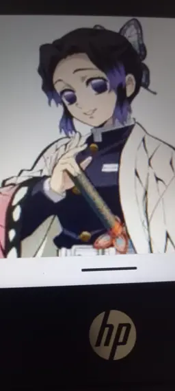 Profile image of 胡蝶 しのぶ