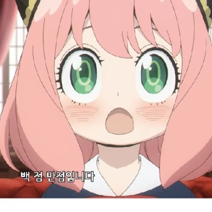 아냐포저
