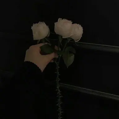 Profile image of 최류현