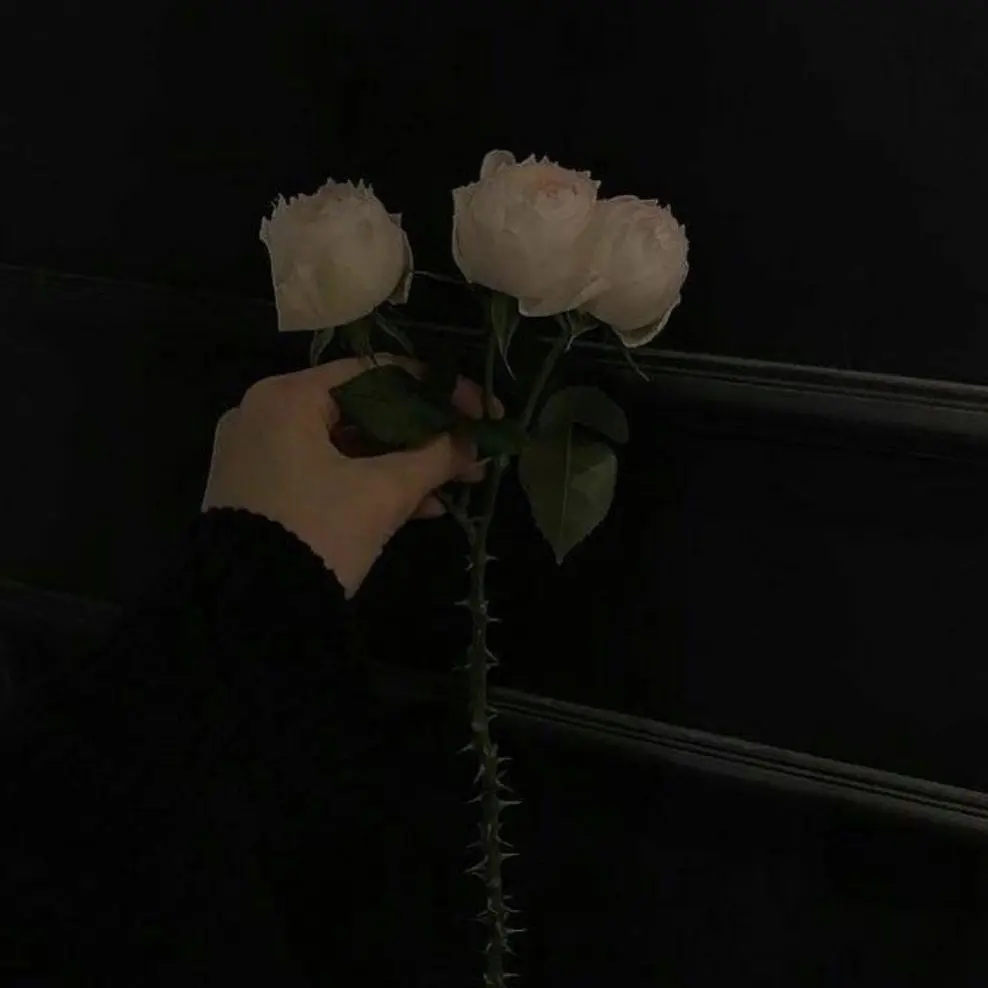 wild_body.333의 미쳤지, 미쳤어.