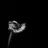 Edric Corin