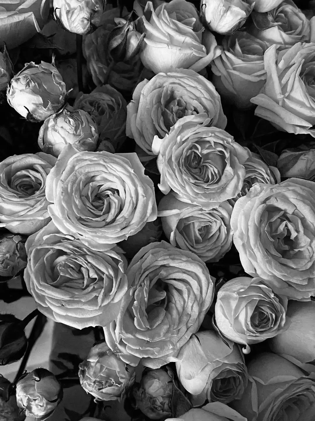 Xv_3e1의 𝐉𝐀𝐋❤︎