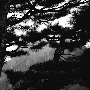 Profile image of 건송