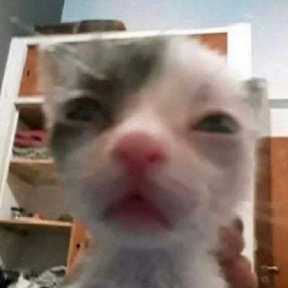 키킹