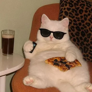 Profile image of ジフナ