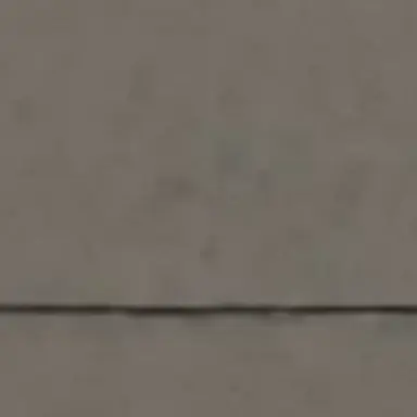 Profile image of 포르코 갤리어드