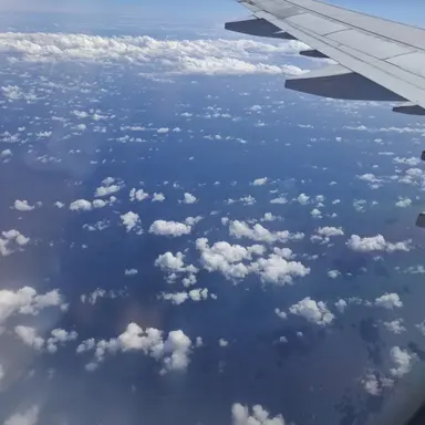 Profile image of 정환