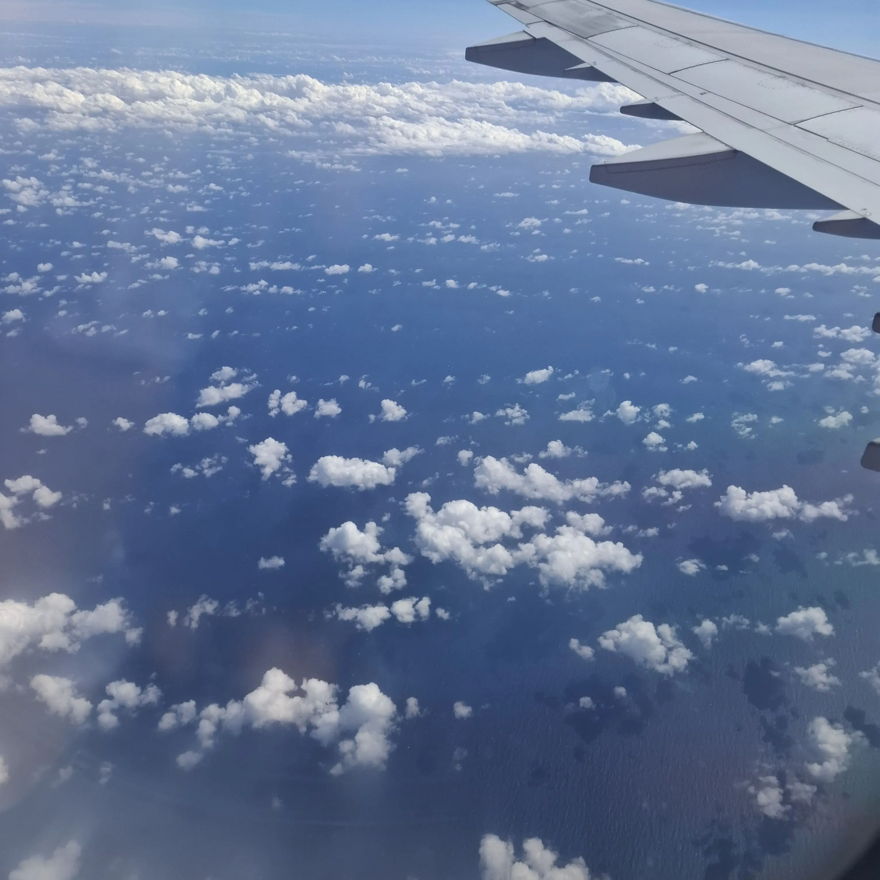 AgedStep2391의 투어스 여우