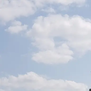 Profile image of 블레쉬