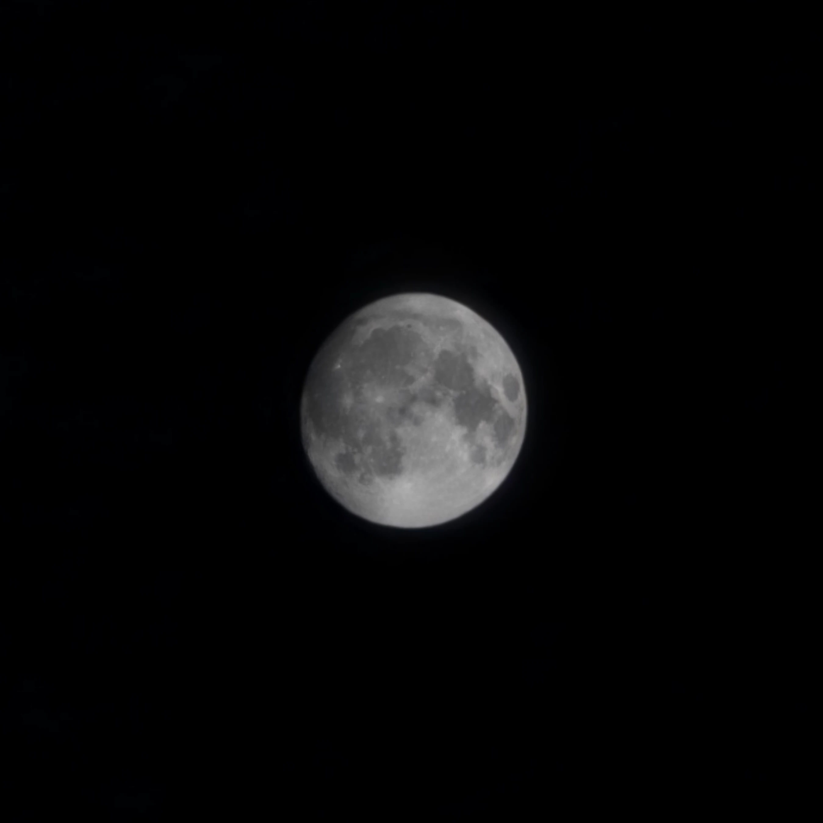 한세연