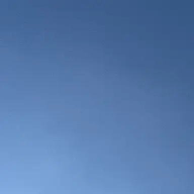 Profile image of 비원