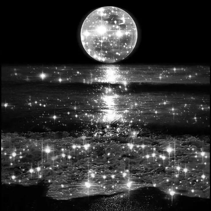 Angel92의 水族館