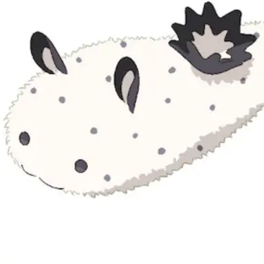 Profile image of 후시