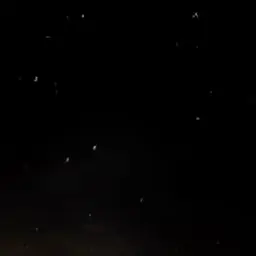 PARTYTIME의 꼬라지 하고는 불쌍하기 짝이 없네.