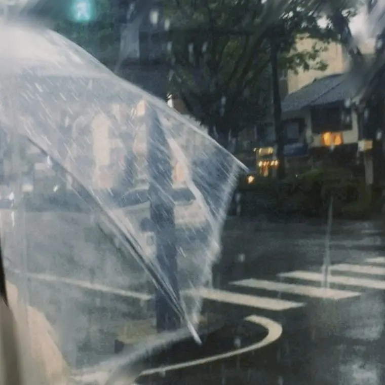 Shfusv0801x의 傘越しの横顔