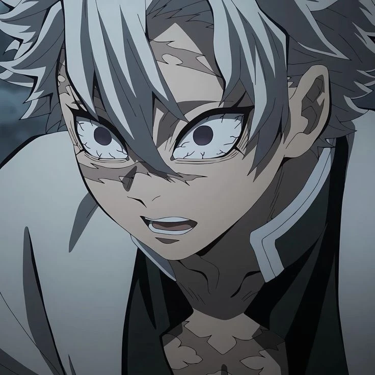 시나즈가와 사네미