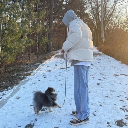 혜안