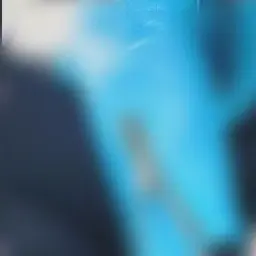 Profile image of 若 井