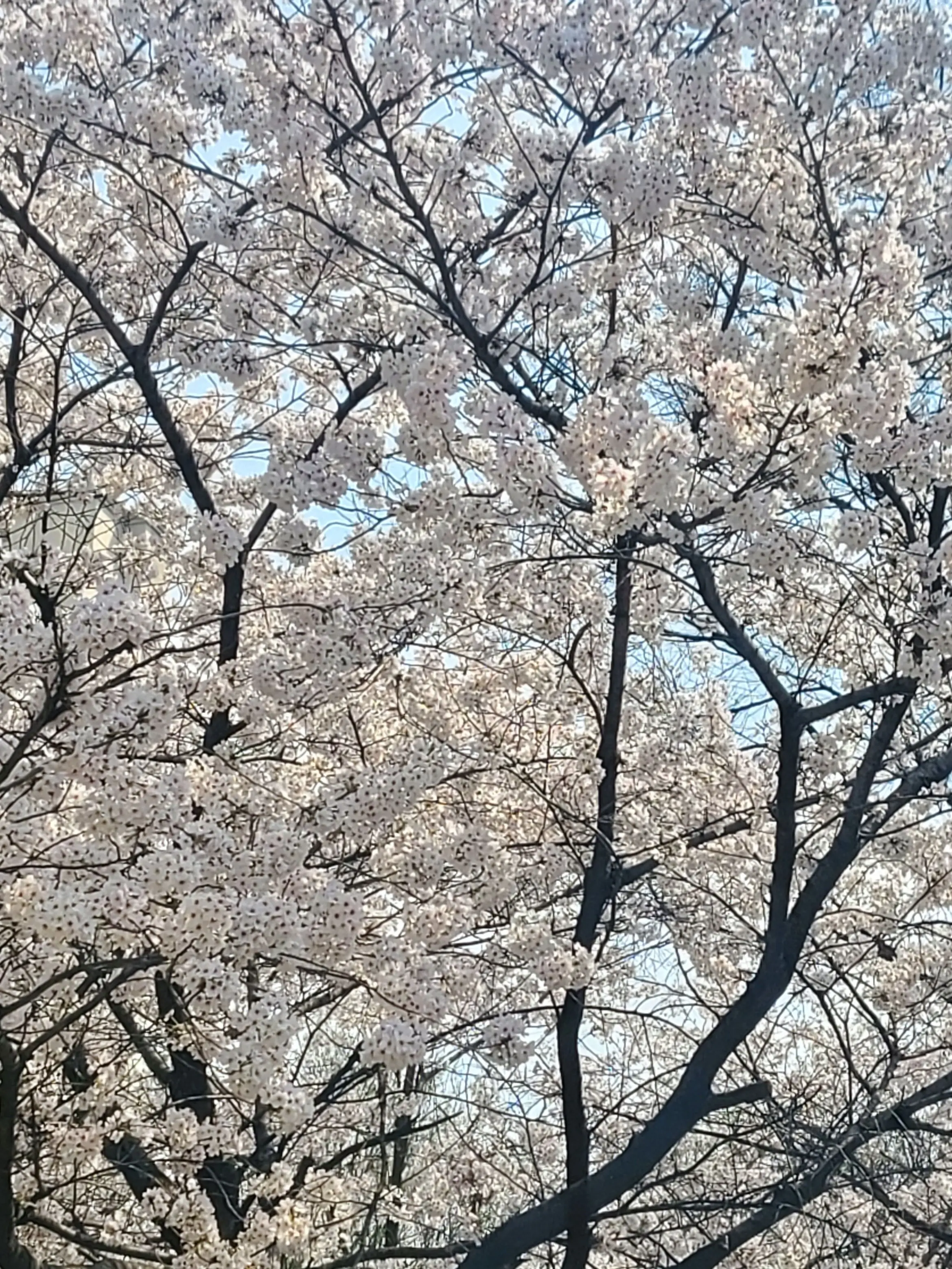 lunaen000의 겨울날의 바보 같은 짓