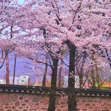 Profile image of 박해민