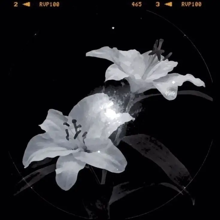 7kng_r의 박종건