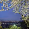 Profile image of 寄せ集め