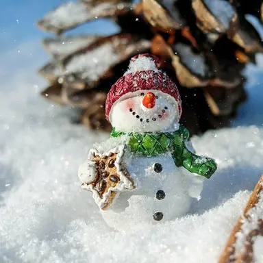 Profile image of SnowMan