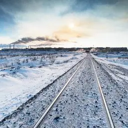 Profile image of アムール句会