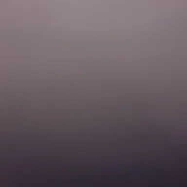 Profile image of 김이현