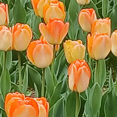 Profile image of 미스터리 수사반