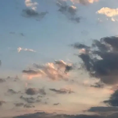 MellowZoo6144의 夜のお店に来てみました