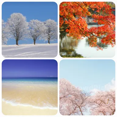 Profile image of 최가을