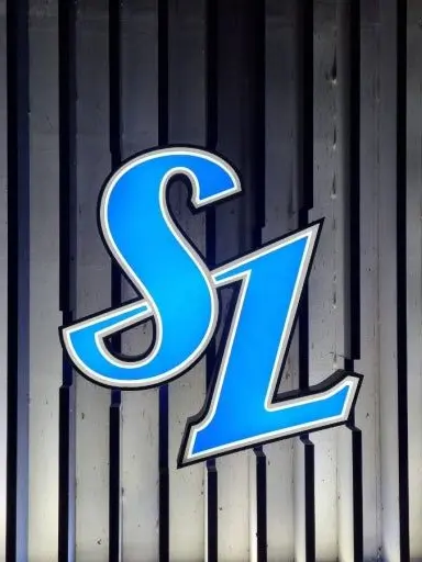nemony0311의 ライオンズ高校野球部！