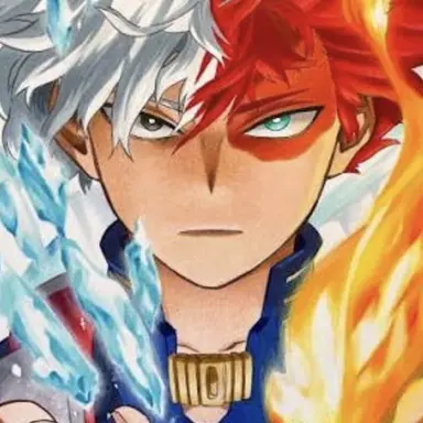 Profile image of Todoroki